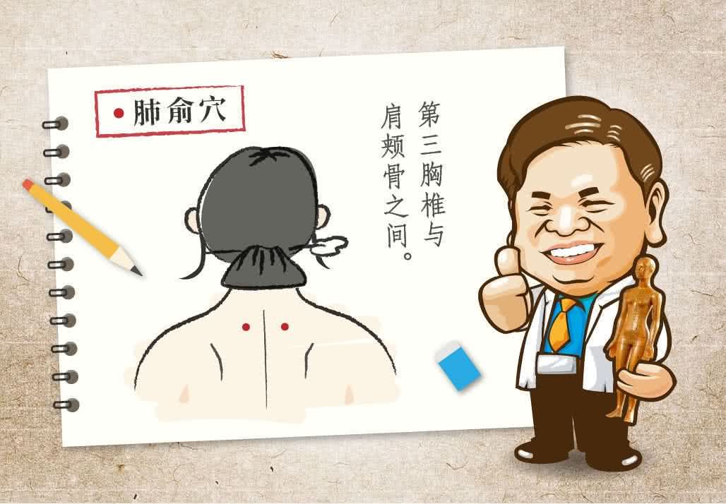 肺俞穴